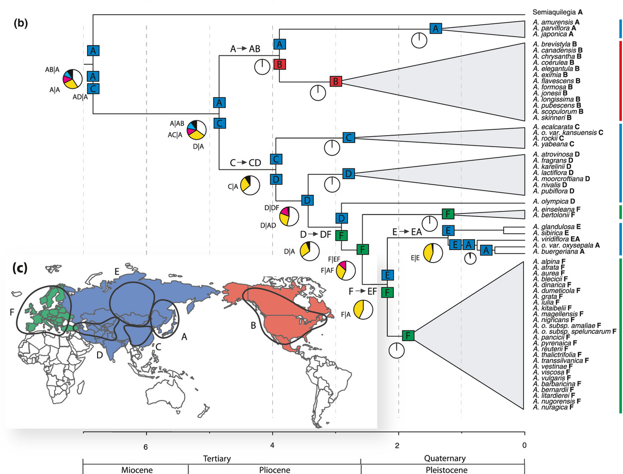 Spatiotemporal reconstruction of the i Aquilegia i rapid radiation through next-generation sequencing of rapidly evolving cpDNA regions