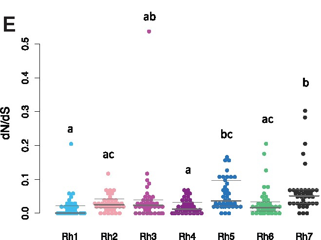 Phylogenomics of Opsin genes in Diptera reveals lineage-specific events and contrasting evolutionary dynamics in i Anopheles i and i Drosophila i