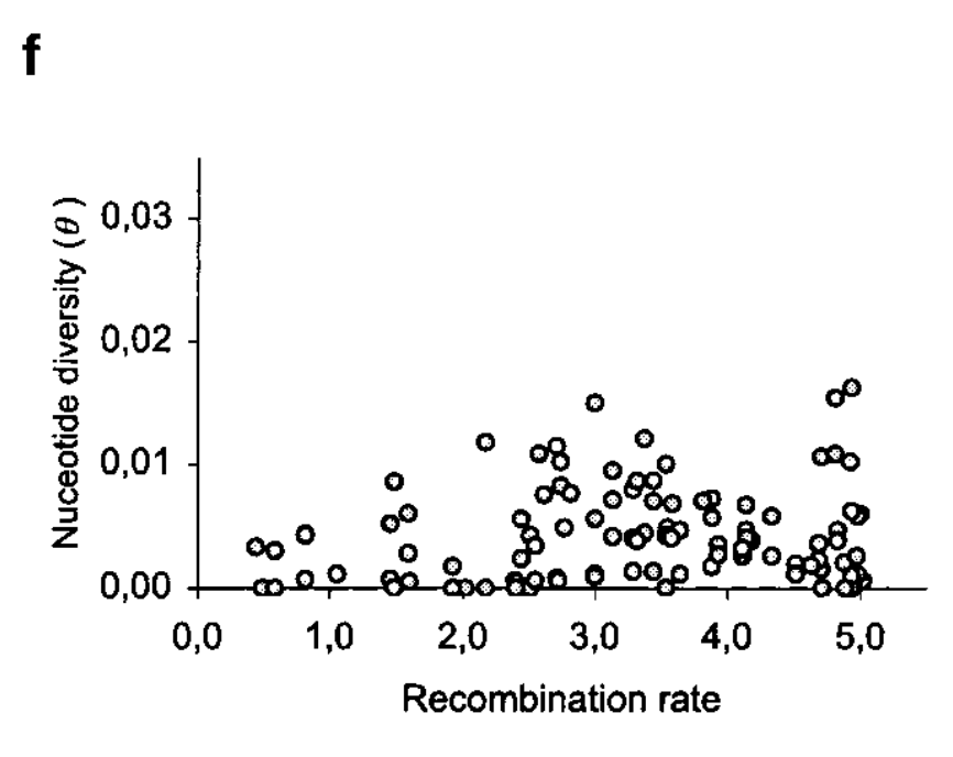 Demography and natural selection have shaped genetic variation in i Drosophila melanogaster i : A multi-locus approach