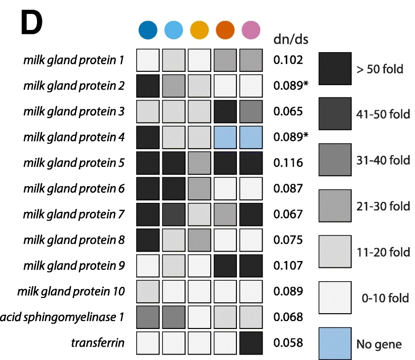 Comparative genomic analysis of six i Glossina i genomes, vectors of African trypanosomes