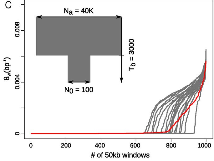 Survival and divergence in a small group: The extraordinary genomic history of the endangered Apennine brown bear stragglers