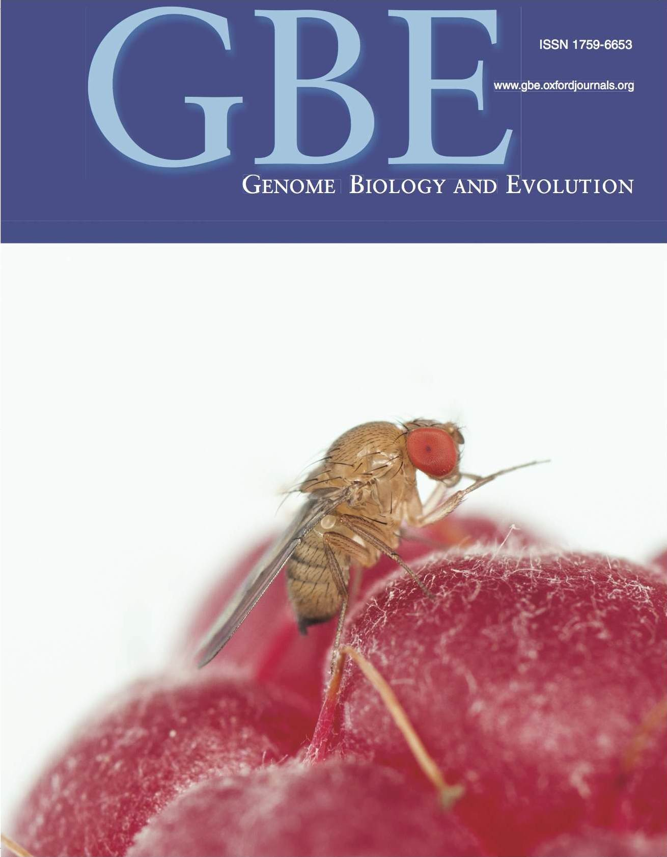 linking genomics and ecology to investigate the complex evolution of an invasive i Drosophila i pest