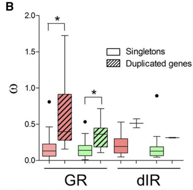 Evolutionary insights into taste perception of the invasive pest i Drosophila suzukii i