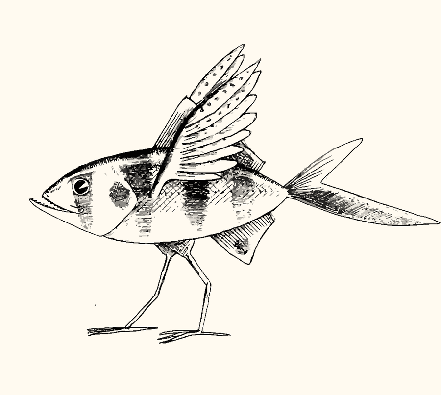 Pen drawing of a fish with wings and legs