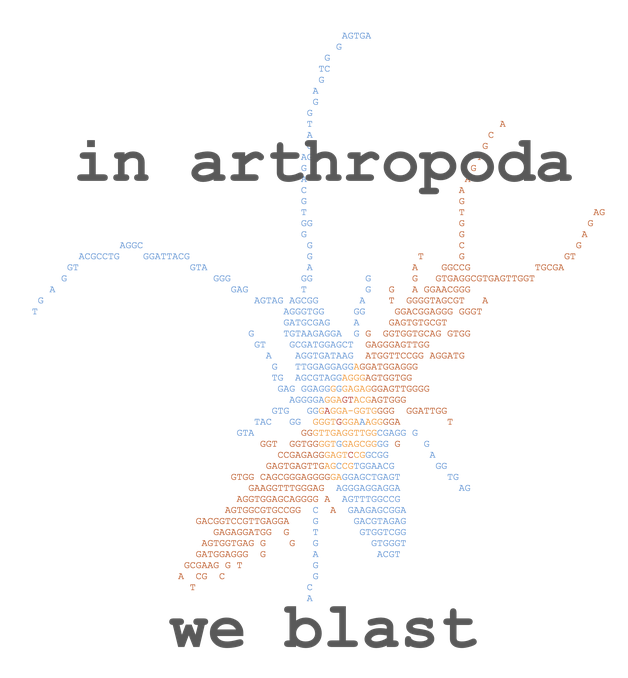 In arthropoda we blast