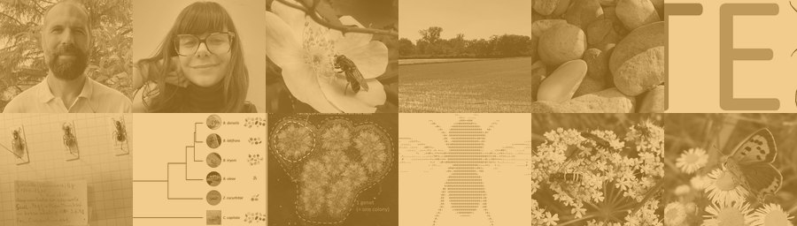 The lab at a glance: its members and the animals it studies